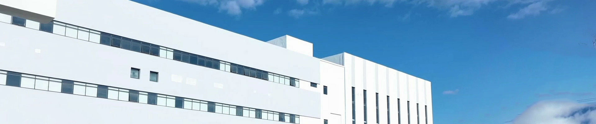 發展歷程